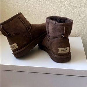 Women’s Classic mini Ugg boots chocolate